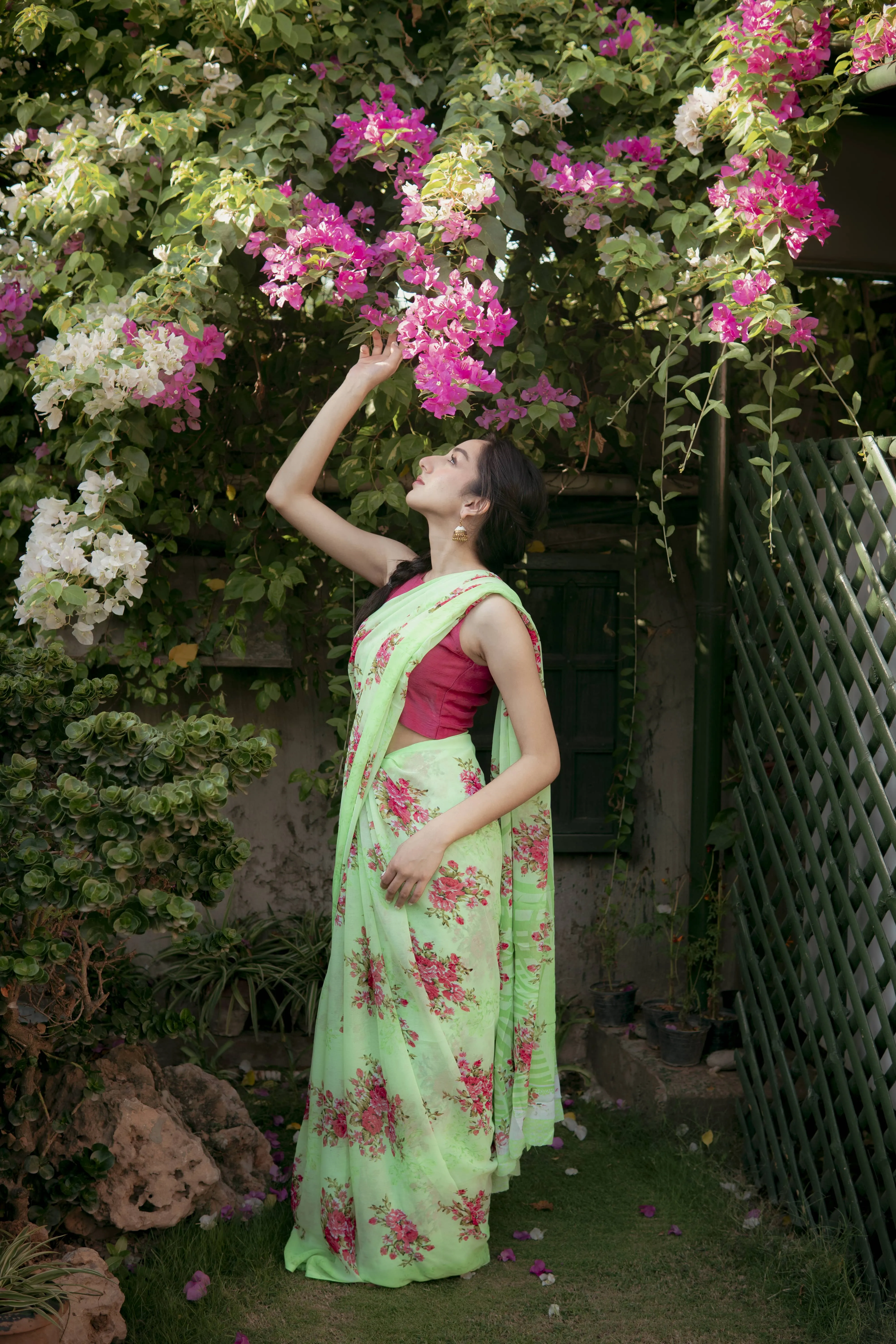 Satrangi 2.0: Blue Hydrangea