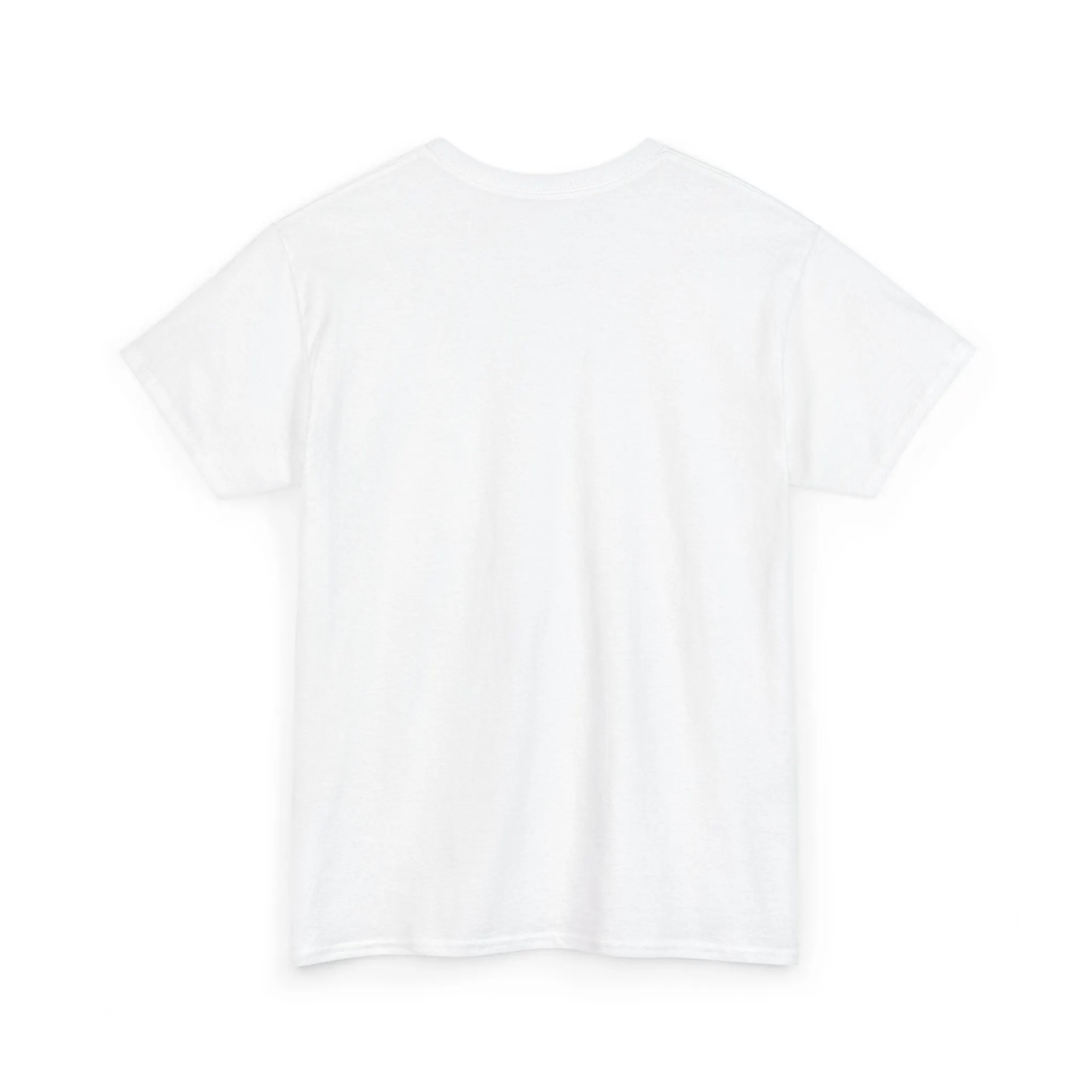 Sober Things Unisex Heavy Cotton Tee