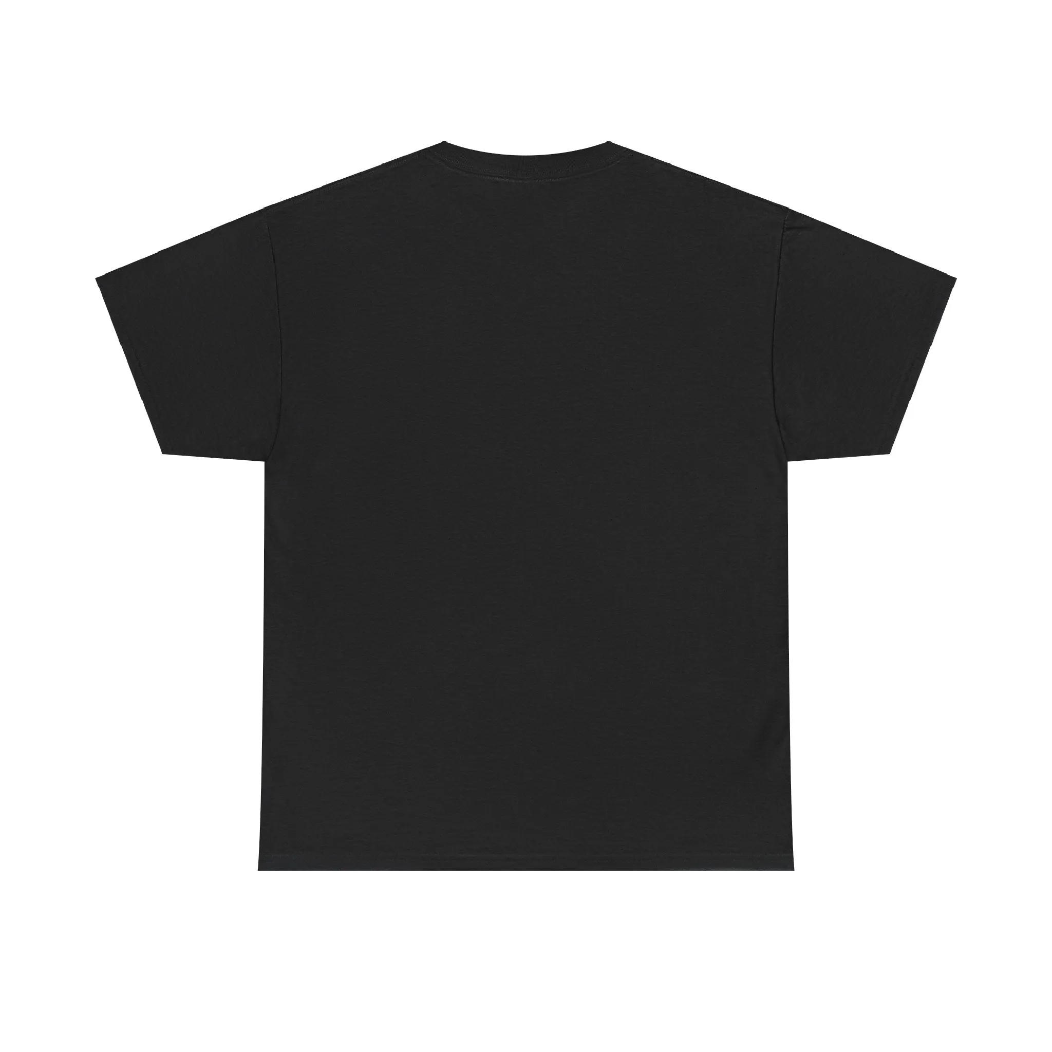 Sober Things Unisex Heavy Cotton Tee