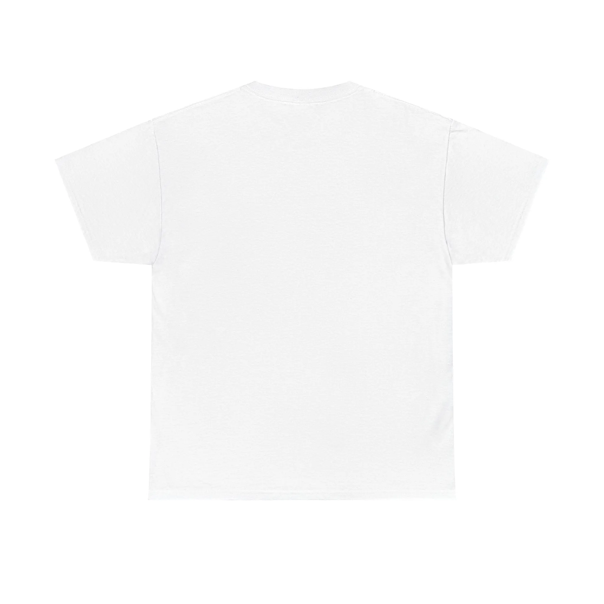 Sober Things Unisex Heavy Cotton Tee