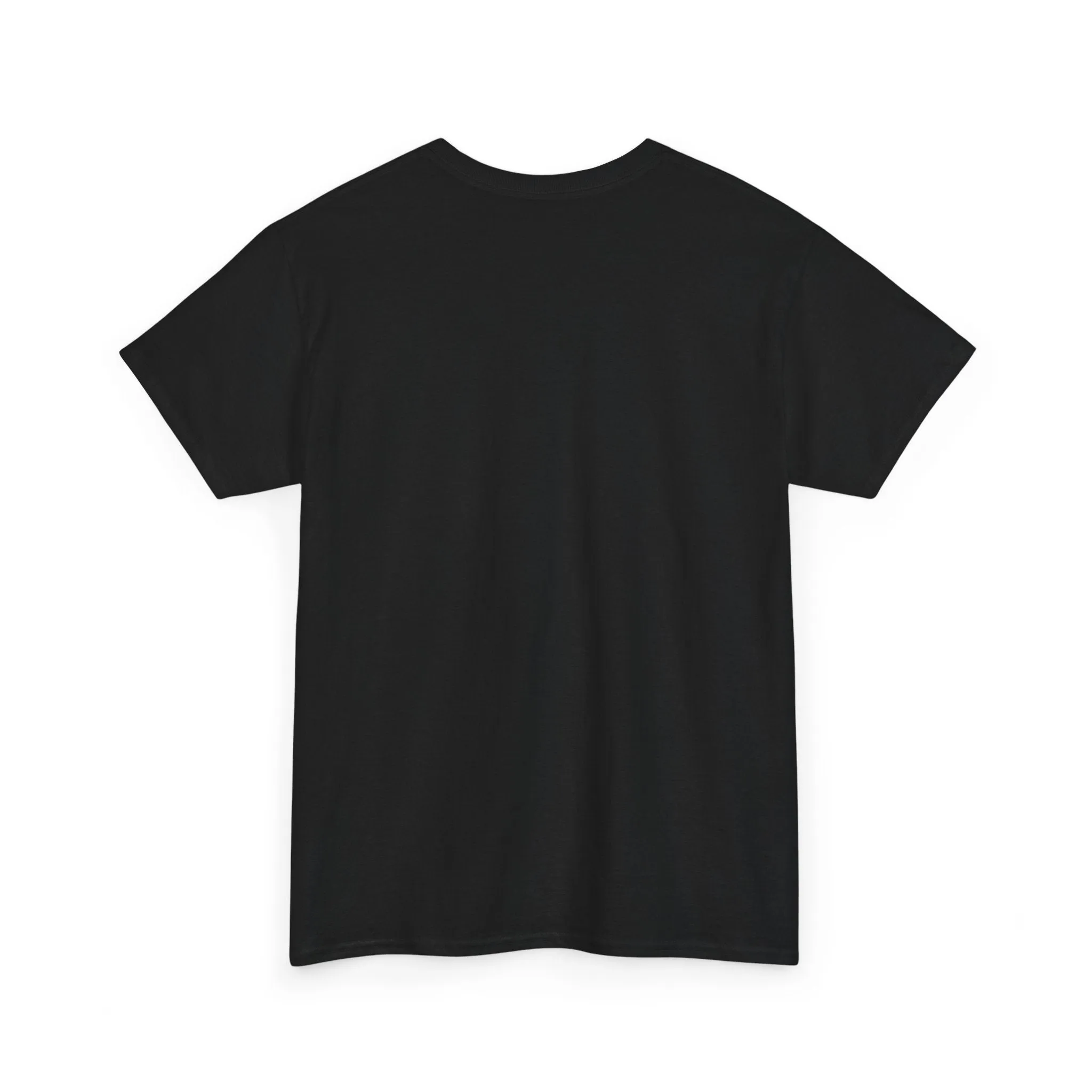 Sober Things Unisex Heavy Cotton Tee
